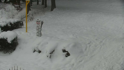 Běžecký lyžařský areál Nová Ves - horní část