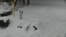 Běžecký lyžařský areál Nová Ves - horní část