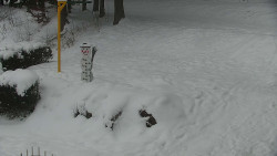 Běžecký lyžařský areál Nová Ves - horní část