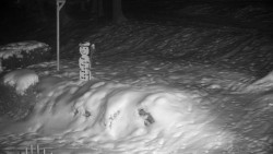 Běžecký lyžařský areál Nová Ves - horní část