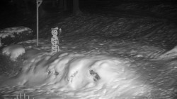 Běžecký lyžařský areál Nová Ves - horní část