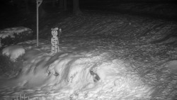 Běžecký lyžařský areál Nová Ves - horní část