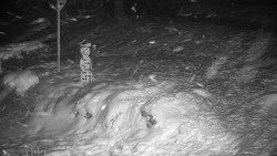 Běžecký lyžařský areál Nová Ves - horní část