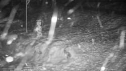 Běžecký lyžařský areál Nová Ves - horní část