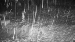 Běžecký lyžařský areál Nová Ves - horní část