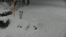 Běžecký lyžařský areál Nová Ves - horní část