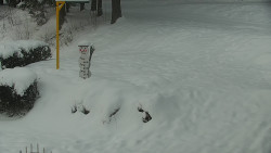 Běžecký lyžařský areál Nová Ves - horní část