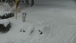 Běžecký lyžařský areál Nová Ves - horní část