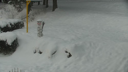 Běžecký lyžařský areál Nová Ves - horní část