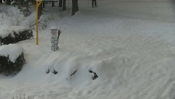 Běžecký lyžařský areál Nová Ves - horní část