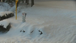 Běžecký lyžařský areál Nová Ves - horní část