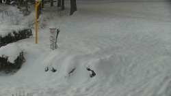 Běžecký lyžařský areál Nová Ves - horní část