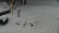 Běžecký lyžařský areál Nová Ves - horní část