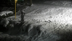 Běžecký lyžařský areál Nová Ves - horní část