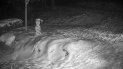 Běžecký lyžařský areál Nová Ves - horní část