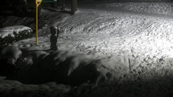 Běžecký lyžařský areál Nová Ves - horní část