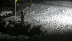 Běžecký lyžařský areál Nová Ves - horní část