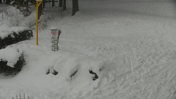 Běžecký lyžařský areál Nová Ves - horní část