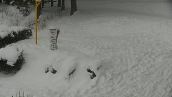 Běžecký lyžařský areál Nová Ves - horní část