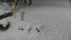 Běžecký lyžařský areál Nová Ves - horní část