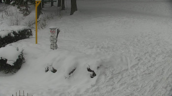 Chata Myslivna SKP Olomouc