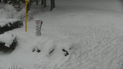 Běžecký lyžařský areál Nová Ves - horní část