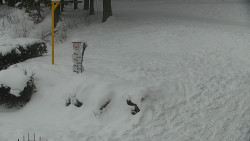 Běžecký lyžařský areál Nová Ves - horní část