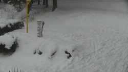 Běžecký lyžařský areál Nová Ves - horní část