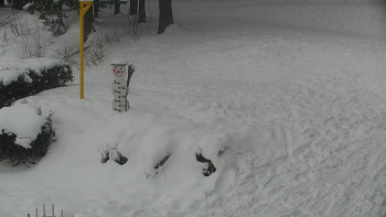 Chata Myslivna SKP Olomouc