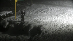 Běžecký lyžařský areál Nová Ves - horní část