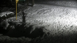 Běžecký lyžařský areál Nová Ves - horní část