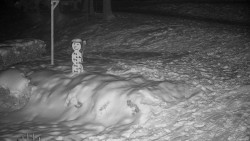 Běžecký lyžařský areál Nová Ves - horní část