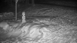 Běžecký lyžařský areál Nová Ves - horní část