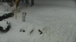 Běžecký lyžařský areál Nová Ves - horní část