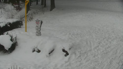 Běžecký lyžařský areál Nová Ves - horní část