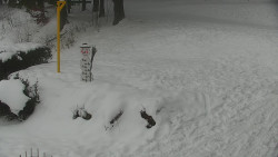 Běžecký lyžařský areál Nová Ves - horní část