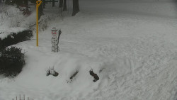 Běžecký lyžařský areál Nová Ves - horní část