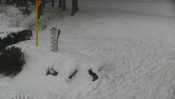 Běžecký lyžařský areál Nová Ves - horní část