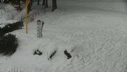 Běžecký lyžařský areál Nová Ves - horní část