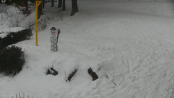 Běžecký lyžařský areál Nová Ves - horní část