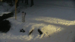 Běžecký lyžařský areál Nová Ves - horní část