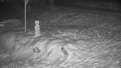 Běžecký lyžařský areál Nová Ves - horní část