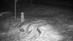 Běžecký lyžařský areál Nová Ves - horní část