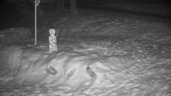 Běžecký lyžařský areál Nová Ves - horní část