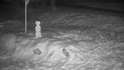 Běžecký lyžařský areál Nová Ves - horní část