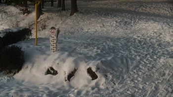 Chata Myslivna SKP Olomouc