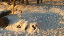 Běžecký lyžařský areál Nová Ves - horní část