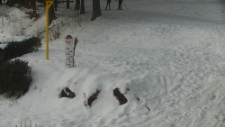 Běžecký lyžařský areál Nová Ves - horní část