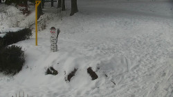 Běžecký lyžařský areál Nová Ves - horní část