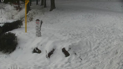 Běžecký lyžařský areál Nová Ves - horní část